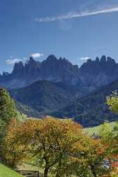 Colle Villnoess Tal Geislergruppe Dolomiten Berg Wald Baum Pass Famous Fine Art Photographers - 004875 - 11-10-2009 - 4055x8436 Pixel Colle Villnoess Tal Geislergruppe Dolomiten Berg Wald Baum Pass Famous Fine Art Photographers Country Road Fine Art Animal Sky Fine Art Giclee Printing Photo...