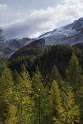 Passo Fedaia Penia Marmolada Dolomiten Herbst Farben Wald Tree Fine Art Images Nature - 005125 - 14-10-2009 - 4263x8390 Pixel Passo Fedaia Penia Marmolada Dolomiten Herbst Farben Wald Tree Fine Art Images Nature Royalty Free Stock Images Fine Art Prints For Sale Photography Prints For...
