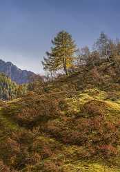 Passo Fedaia Autumn Tree Color Dolomites Panorama Viepoint Fine Art Photography Prints For Sale - 024197 - 18-10-2016 - 7235x10423 Pixel Passo Fedaia Autumn Tree Color Dolomites Panorama Viepoint Fine Art Photography Prints For Sale Beach Art Prints For Sale Fine Art Photography Prints For Sale...