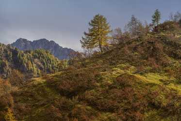 Passo Fedaia Autumn Tree Color Dolomites Panorama Viepoint Spring Fine Art Prints For Sale - 024198 - 18-10-2016 - 12794x8573 Pixel Passo Fedaia Autumn Tree Color Dolomites Panorama Viepoint Spring Fine Art Prints For Sale Fine Art Posters Fine Art Photography Prints For Sale Fog Fine Art...