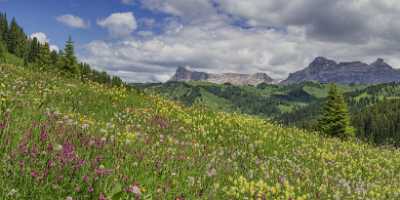 Corvara Kurfar Colfosco Kalfuschg Village Summer Dolomites Panorama Stock Photos Hi Resolution Snow - 024917 - 18-06-2018 - 16579x7081 Pixel Corvara Kurfar Colfosco Kalfuschg Village Summer Dolomites Panorama Stock Photos Hi Resolution Snow Coast Art Photography Gallery River Ice Rain City Landscape...