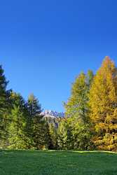 Karerpass Costalunga Rosengarten Tirol Landschaft Laerchen Herbst Town Fine Art Photographers - 001248 - 15-10-2007 - 4379x7380 Pixel Karerpass Costalunga Rosengarten Tirol Landschaft Laerchen Herbst Town Fine Art Photographers Fine Art Prints View Point Nature Senic What Is Fine Art...