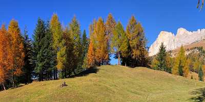 Karerpass Costalunga Rosengarten Tirol Landschaft Laerchen Herbst Fine Art Prints - 001250 - 15-10-2007 - 11526x4141 Pixel Karerpass Costalunga Rosengarten Tirol Landschaft Laerchen Herbst Fine Art Prints Art Photography For Sale Fine Art Lake What Is Fine Art Photography Rain...