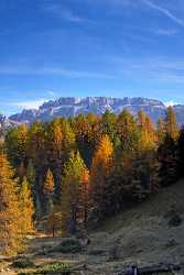 Val Gardena Groeden Monte Pic Foto Herbst Dolomiten Autumn Country Road Landscape Photography - 001404 - 17-10-2007 - 4231x7788 Pixel Val Gardena Groeden Monte Pic Foto Herbst Dolomiten Autumn Country Road Landscape Photography Art Printing Fine Art Photographer Ice Fine Art Landscape Flower...