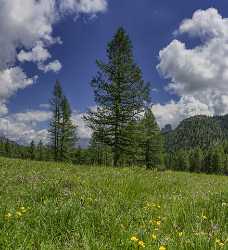 Passo Falzarego Summer Dolomites Flower Mountain Range Sky Rock Fine Art Photography For Sale Lake - 025065 - 20-06-2018 - 7198x7881 Pixel Passo Falzarego Summer Dolomites Flower Mountain Range Sky Rock Fine Art Photography For Sale Lake Photo Fine Art Photography Prints For Sale Rain Art...