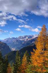 Passo Pordoi Pass Panorama Canazai Val Di Fassa Images Fine Art Photographer Leave Fine Art Print - 001490 - 19-10-2007 - 4338x7696 Pixel Passo Pordoi Pass Panorama Canazai Val Di Fassa Images Fine Art Photographer Leave Fine Art Print Fine Art Photo Fine Art Fine Art Nature Photography Fine Art...