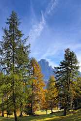 Val Gardena Groeden Monte Pic Foto Herbst Dolomiten Lake Fine Art Nature Photography Flower - 001414 - 17-10-2007 - 4412x7925 Pixel Val Gardena Groeden Monte Pic Foto Herbst Dolomiten Lake Fine Art Nature Photography Flower Fine Art Foto Sea Country Road Stock Pictures Forest Stock Fine Art...