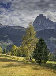 Santa Cristina Valgardena Sassolungo Langkofel Autumn Dolomites Panoramic Fine Art Fotografie - 025427 - 12-10-2018 - 7578x10364 Pixel Santa Cristina Valgardena Sassolungo Langkofel Autumn Dolomites Panoramic Fine Art Fotografie Landscape Forest Snow Fine Art Printer Stock Images Fine Art Fine...