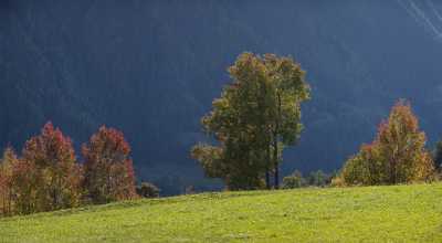 Sankt Peter Val Gardena Groedner Tal Herbst Farben Autumn Lake Art Prints For Sale Grass City - 005270 - 15-10-2009 - 7702x4236 Pixel Sankt Peter Val Gardena Groedner Tal Herbst Farben Autumn Lake Art Prints For Sale Grass City Fine Art Giclee Printing Image Stock Island Cloud Royalty Free...