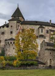 Castel Presule Schloss Proesels Autumn Tree Color Dolomites Royalty Free Stock Images Town Sea - 024179 - 18-10-2016 - 7851x10928 Pixel Castel Presule Schloss Proesels Autumn Tree Color Dolomites Royalty Free Stock Images Town Sea Landscape Island Western Art Prints For Sale Hi Resolution Stock...