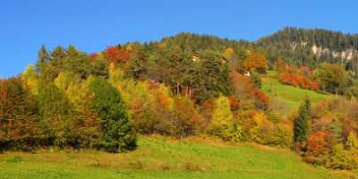 Seis Herbst Laub Baum Sonne Wald Panorama Park Sky Fine Art Printer Royalty Free Stock Photos Sale - 001206 - 14-10-2007 - 9058x3830 Pixel Seis Herbst Laub Baum Sonne Wald Panorama Park Sky Fine Art Printer Royalty Free Stock Photos Sale Fine Art Landscape Outlook Cloud Fine Art Sea Fine Art Photo...