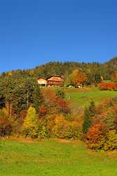 Seis Herbst Laub Baum Sonne Wald Panorama Fine Art Fotografie Prints Photography Senic - 001209 - 14-10-2007 - 4075x7056 Pixel Seis Herbst Laub Baum Sonne Wald Panorama Fine Art Fotografie Prints Photography Senic Fine Art Photographer Fine Art Posters Art Prints For Sale Town Island Hi...