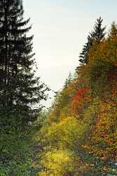 Seis Herbst Laub Baum Sonne Wald Bach Panorama Fine Art Printer Shoreline - 001214 - 14-10-2007 - 3913x8460 Pixel Seis Herbst Laub Baum Sonne Wald Bach Panorama Fine Art Printer Shoreline Fine Art Photography Galleries Modern Art Prints Fine Arts Art Prints Modern Wall Art...