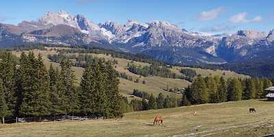 Seiser Alm Alpe Siusi Geislergruppe Dolomiten Herbst Baum Fine Art Pictures Color - 005308 - 16-10-2010 - 12147x4210 Pixel Seiser Alm Alpe Siusi Geislergruppe Dolomiten Herbst Baum Fine Art Pictures Color Fine Art Photographers Shore Art Photography Gallery Tree Mountain Fine Art...