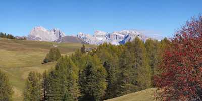 Seiser Alm Alpe Siusi Geislergruppe Dolomiten Herbst Baum Stock Pass Fine Art Photos Nature - 005345 - 16-10-2010 - 9116x4179 Pixel Seiser Alm Alpe Siusi Geislergruppe Dolomiten Herbst Baum Stock Pass Fine Art Photos Nature Fine Art Photography Galleries Modern Art Print Lake Sale Prints Sky...