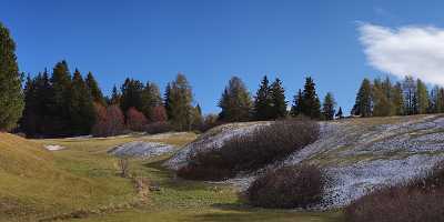 Seiser Alm Alpe Siusi Dolomiten Herbst Baum Schnee Fine Art Landscape Photography Fine Art Photo - 005353 - 16-10-2010 - 11687x4216 Pixel Seiser Alm Alpe Siusi Dolomiten Herbst Baum Schnee Fine Art Landscape Photography Fine Art Photo Art Prints View Point Rock Panoramic Photo Fine Art Forest...