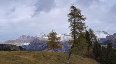 Sella Pass Val Gardena Geislergruppe Dolomiten Baum Eis What Is Fine Art Photography Shoreline - 005388 - 17-10-2009 - 7272x4051 Pixel Sella Pass Val Gardena Geislergruppe Dolomiten Baum Eis What Is Fine Art Photography Shoreline Fine Art Printing Landscape Art Printing Fine Art Sea River...