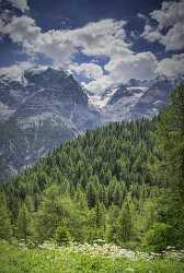 Passo Stelvio Stilfserjoch Trafoi Trentino South Tyrol Summer Fine Arts Photography Town - 025097 - 21-06-2018 - 7620x11368 Pixel Passo Stelvio Stilfserjoch Trafoi Trentino South Tyrol Summer Fine Arts Photography Town Western Art Prints For Sale Stock Image Fine Art Nature Photography...