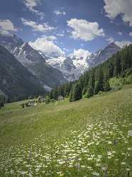 Passo Stelvio Stilfserjoch Trafoi Village Church Trentino South What Is Fine Art Photography - 025101 - 21-06-2018 - 7677x10316 Pixel Passo Stelvio Stilfserjoch Trafoi Village Church Trentino South What Is Fine Art Photography Photo Fine Art Stock Pictures Ice Art Photography Gallery Art...