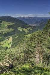 Tires Tiers Summer Tree Color Dolomites Panorama Viepoint Outlook Art Printing Park Grass Town - 024812 - 15-06-2018 - 7669x12174 Pixel Tires Tiers Summer Tree Color Dolomites Panorama Viepoint Outlook Art Printing Park Grass Town Forest Fine Art Photography Galleries Fine Art Nature Photography...