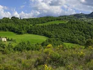 Bagno Vignoni