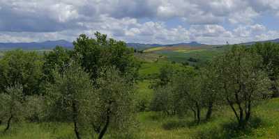 Bagno Vignoni Tuscany Italy Toscana Italien Spring Fruehling What Is Fine Art Photography - 014021 - 19-05-2013 - 14377x7052 Pixel Bagno Vignoni Tuscany Italy Toscana Italien Spring Fruehling What Is Fine Art Photography Stock Image Fine Art America Mountain Modern Wall Art Fine Art Foto...