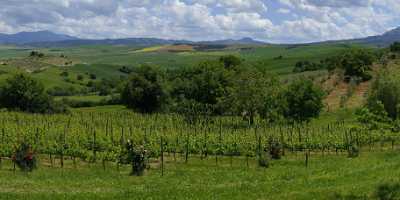 Bagno Vignoni Tuscany Italy Toscana Italien Spring Fruehling Modern Wall Art Barn Lake Sky Park - 014025 - 19-05-2013 - 14844x7060 Pixel Bagno Vignoni Tuscany Italy Toscana Italien Spring Fruehling Modern Wall Art Barn Lake Sky Park Fine Arts Photography Fine Art America Fine Art Photography...