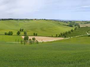 Buonconvento