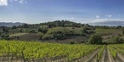 Casole D Elsa Chianti Tuscany Winery Panoramic Viepoint Country Road Photo Fine Art - 022824 - 14-09-2017 - 16442x6944 Pixel Casole D Elsa Chianti Tuscany Winery Panoramic Viepoint Country Road Photo Fine Art Famous Fine Art Photographers Stock Image Forest Fog Barn Fine Art Pictures...