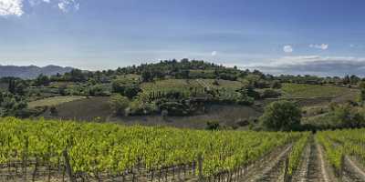 Casole D Elsa Chianti Tuscany Winery Panoramic Viepoint Country Road Photo Fine Art - 022824 - 14-09-2017 - 16442x6944 Pixel Casole D Elsa Chianti Tuscany Winery Panoramic Viepoint Country Road Photo Fine Art Famous Fine Art Photographers Stock Image Forest Fog Barn Fine Art Pictures...