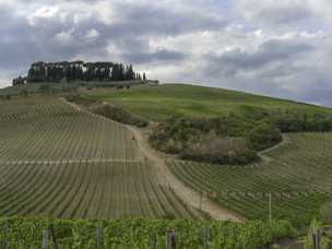 Castellina in Chianti