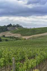 Castellina In Chianti Tuscany Winery Panoramic Viepoint Lookout Island Stock Images Pass Stock - 022808 - 15-09-2017 - 7888x11812 Pixel Castellina In Chianti Tuscany Winery Panoramic Viepoint Lookout Island Stock Images Pass Stock Modern Art Prints Fine Art Photography Prints For Sale Sea Fine...