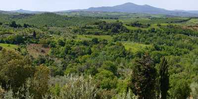 Castelmuzio Tuscany Italy Toscana Italien Spring Fruehling Scenic Sale Snow View Point Stock Image - 012757 - 18-05-2012 - 15503x4630 Pixel Castelmuzio Tuscany Italy Toscana Italien Spring Fruehling Scenic Sale Snow View Point Stock Image Fine Art Nature Photography Fine Art Photography Photography...