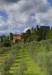 Colombaio Tuscany Italy Toscana Italien Spring Fruehling Scenic Ice Outlook Fine Art - 013132 - 23-05-2013 - 7119x10350 Pixel Colombaio Tuscany Italy Toscana Italien Spring Fruehling Scenic Ice Outlook Fine Art Royalty Free Stock Photos Rain Fine Art Landscape Photography Order Sea...