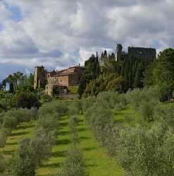 Colombaio Tuscany Italy Toscana Italien Spring Fruehling Scenic Winter Art Printing Sunshine - 013133 - 23-05-2013 - 11292x11412 Pixel Colombaio Tuscany Italy Toscana Italien Spring Fruehling Scenic Winter Art Printing Sunshine Fine Art Landscape Photography Senic Fine Art Foto Lake Barn Rain...