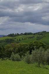 La Foce Tuscany Italy Toscana Italien Spring Fruehling Stock Images Art Prints For Sale - 013974 - 18-05-2013 - 6568x12684 Pixel La Foce Tuscany Italy Toscana Italien Spring Fruehling Stock Images Art Prints For Sale Fine Art Photographers Grass Order Modern Art Print Island Sale Leave...