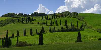 La Foce Tuscany Italy Toscana Italien Spring Fruehling Winter Fine Art Landscape Photography - 014033 - 19-05-2013 - 18191x6759 Pixel La Foce Tuscany Italy Toscana Italien Spring Fruehling Winter Fine Art Landscape Photography Fine Art Photographers Creek Barn Fine Art Nature Photography Fine...