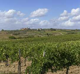 La Strolla Tuscany Winery Panoramic Viepoint Lookout Hill Barn Fine Art Printer Shore Outlook - 022868 - 12-09-2017 - 13196x12187 Pixel La Strolla Tuscany Winery Panoramic Viepoint Lookout Hill Barn Fine Art Printer Shore Outlook Fine Art Foto Park Creek Fine Art Giclee Printing Coast Fine Art...