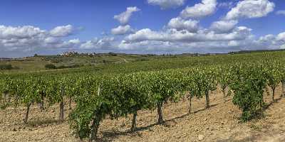 La Strolla Tuscany Winery Panoramic Viepoint Lookout Hill Art Printing Fine Art Photography Gallery - 022869 - 12-09-2017 - 23502x9697 Pixel La Strolla Tuscany Winery Panoramic Viepoint Lookout Hill Art Printing Fine Art Photography Gallery Cloud Grass Fine Art Photographer Sale Leave Modern Art...