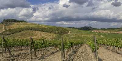 Lilliano Chianti Tuscany Winery Panoramic Viepoint Lookout Hill Sky River Fine Art Printing - 022733 - 15-09-2017 - 38930x7635 Pixel Lilliano Chianti Tuscany Winery Panoramic Viepoint Lookout Hill Sky River Fine Art Printing Fine Art Fotografie Images Famous Fine Art Photographers Fog Stock...