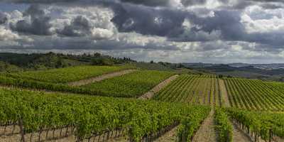 Lilliano Chianti Tuscany Winery Panoramic Viepoint Lookout Hill Fog Animal Autumn Fine Art Posters - 022817 - 15-09-2017 - 16119x7702 Pixel Lilliano Chianti Tuscany Winery Panoramic Viepoint Lookout Hill Fog Animal Autumn Fine Art Posters Hi Resolution Ice Art Printing Mountain Famous Fine Art...