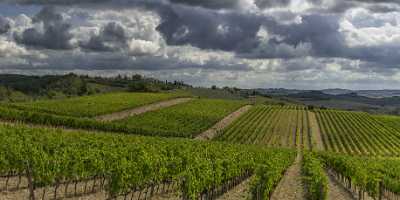 Lilliano Chianti Tuscany Winery Panoramic Viepoint Lookout Hill Fog Animal Autumn Fine Art Posters - 022817 - 15-09-2017 - 16119x7702 Pixel Lilliano Chianti Tuscany Winery Panoramic Viepoint Lookout Hill Fog Animal Autumn Fine Art Posters Hi Resolution Ice Art Printing Mountain Famous Fine Art...