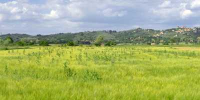 Lucignano Tuscany Italy Toscana Italien Spring Fruehling Scenic Lake Fine Art Landscape Fine Arts - 012621 - 15-05-2012 - 18809x4675 Pixel Lucignano Tuscany Italy Toscana Italien Spring Fruehling Scenic Lake Fine Art Landscape Fine Arts Art Photography Gallery Fine Art Printing View Point Leave...