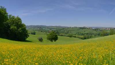 Lucignano Tuscany Italy Toscana Italien Spring Fruehling Scenic Color City View Point - 012838 - 12-05-2012 - 8210x4639 Pixel Lucignano Tuscany Italy Toscana Italien Spring Fruehling Scenic Color City View Point Fine Art Photo Shore Western Art Prints For Sale Fine Art Giclee Printing...