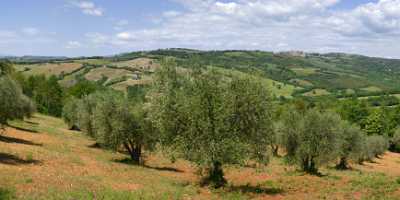 Montalcino Hill Winery Tuscany Italy Toscana Italien Spring Lake Summer Winter Modern Wall Art - 012580 - 15-05-2012 - 10622x4801 Pixel Montalcino Hill Winery Tuscany Italy Toscana Italien Spring Lake Summer Winter Modern Wall Art Photography Country Road Landscape Stock Photos Royalty Free...