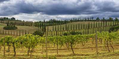 Montefalconi Tuscany Marinello Torre Del Colombaio Winery Panoramic Prints For Sale - 022772 - 16-09-2017 - 23481x7616 Pixel Montefalconi Tuscany Marinello Torre Del Colombaio Winery Panoramic Prints For Sale Fine Art Landscapes Fine Art Photos Sale Modern Wall Art Beach Fine Art...