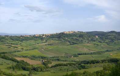 Montefollonico Tuscany Italy Toscana Italien Spring Fruehling Scenic Fine Art Photography Prints - 012798 - 18-05-2012 - 8675x5513 Pixel Montefollonico Tuscany Italy Toscana Italien Spring Fruehling Scenic Fine Art Photography Prints Fine Art Giclee Printing Royalty Free Stock Images Flower...