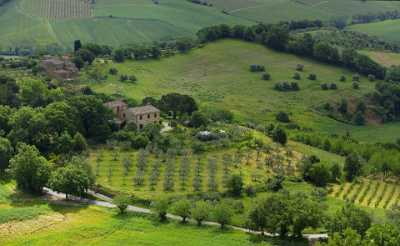 Montefollonico Tuscany Italy Toscana Italien Spring Fruehling Scenic Fine Art Prints - 013998 - 19-05-2013 - 11920x7330 Pixel Montefollonico Tuscany Italy Toscana Italien Spring Fruehling Scenic Fine Art Prints Art Photography For Sale Fine Arts Color Fine Art Photographers Photography...