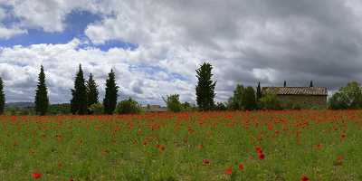 Montefollonico Tuscany Italy Toscana Italien Spring Fruehling Poppy Order Fine Art Printing - 014003 - 19-05-2013 - 15560x5682 Pixel Montefollonico Tuscany Italy Toscana Italien Spring Fruehling Poppy Order Fine Art Printing View Point Royalty Free Stock Photos Sky Pass Image Stock Landscape...