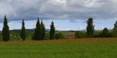 Montefollonico Tuscany Italy Toscana Italien Spring Fruehling Poppy Photo Fine Art - 014056 - 19-05-2013 - 24300x6686 Pixel Montefollonico Tuscany Italy Toscana Italien Spring Fruehling Poppy Photo Fine Art Fine Art Giclee Printing Photo Cloud Fine Art Photography For Sale Stock...